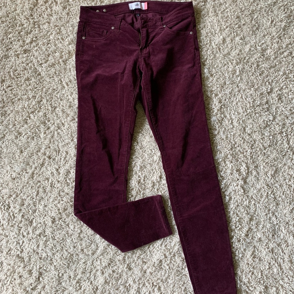 CAbi Corduroy Pants